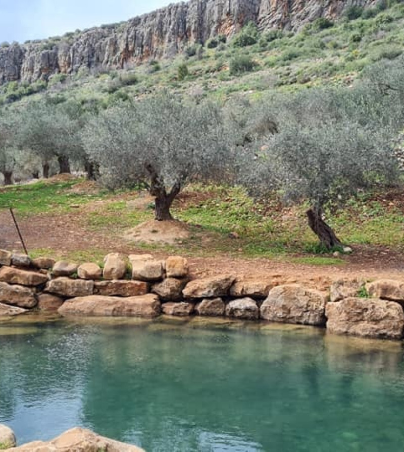 עין מג'נונה: המעיין הנסתר של הגליל